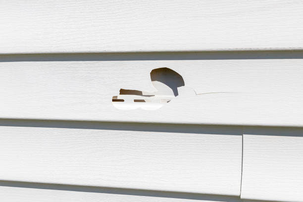 Affordable siding repair and maintenance services in Westwood, CA